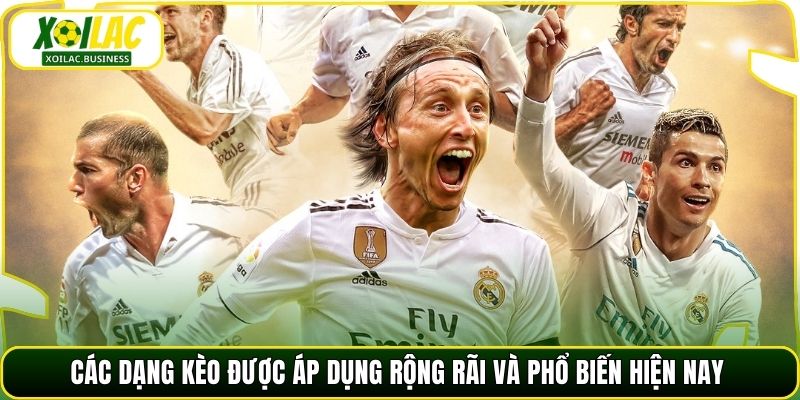 Các dạng kèo được áp dụng rộng rãi và phổ biến hiện nay