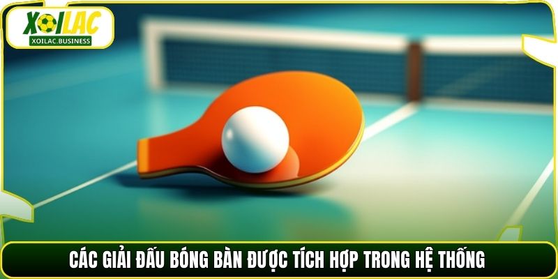 Các giải đấu bóng bàn được tích hợp trong hệ thống
