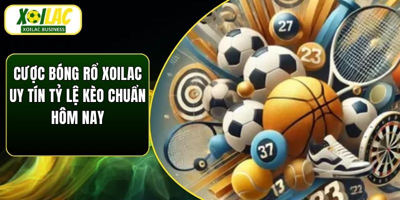 Cược Bóng Rổ Xoilac Uy Tín Tỷ Lệ Kèo Chuẩn Hôm Nay