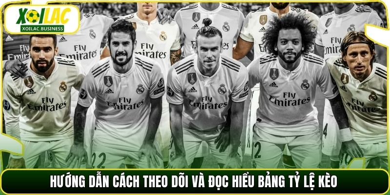 Hướng dẫn cách theo dõi và đọc hiểu bảng tỷ lệ kèo