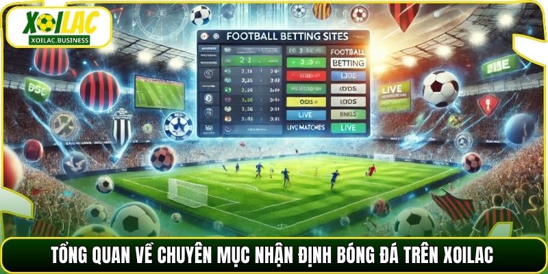 Tổng quan về chuyên mục nhận định bóng đá trên Xoilac
