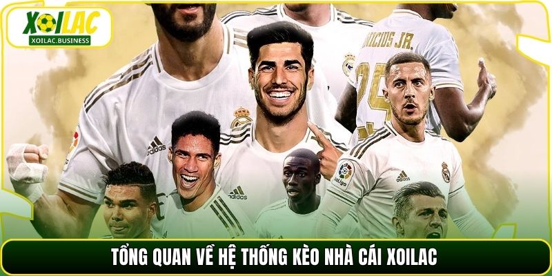 Tổng quan về hệ thống Kèo nhà cái Xoilac