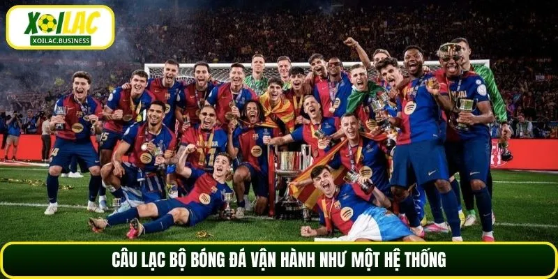 Câu lạc bộ bóng đá vận hành như một hệ thống